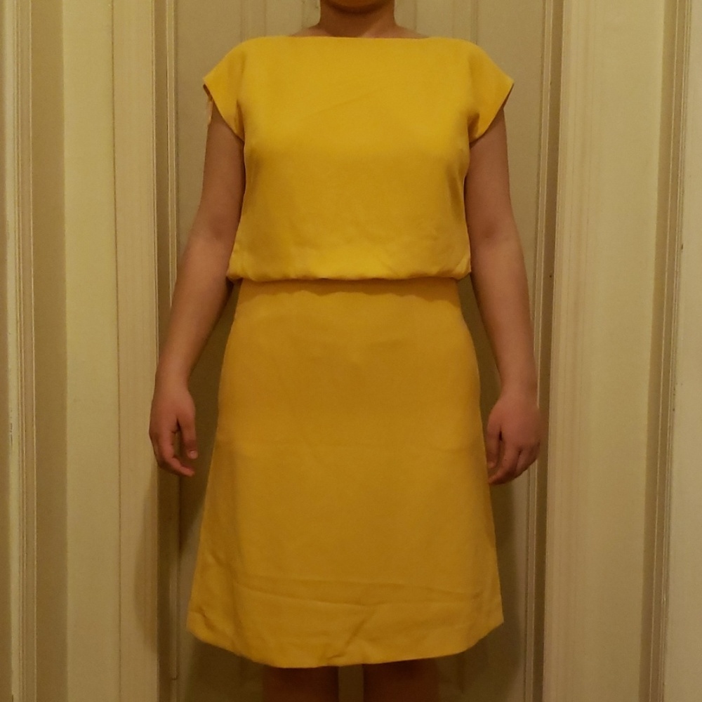 💫Banana Republic Cinch Waist Dress - Picture 3 of 7